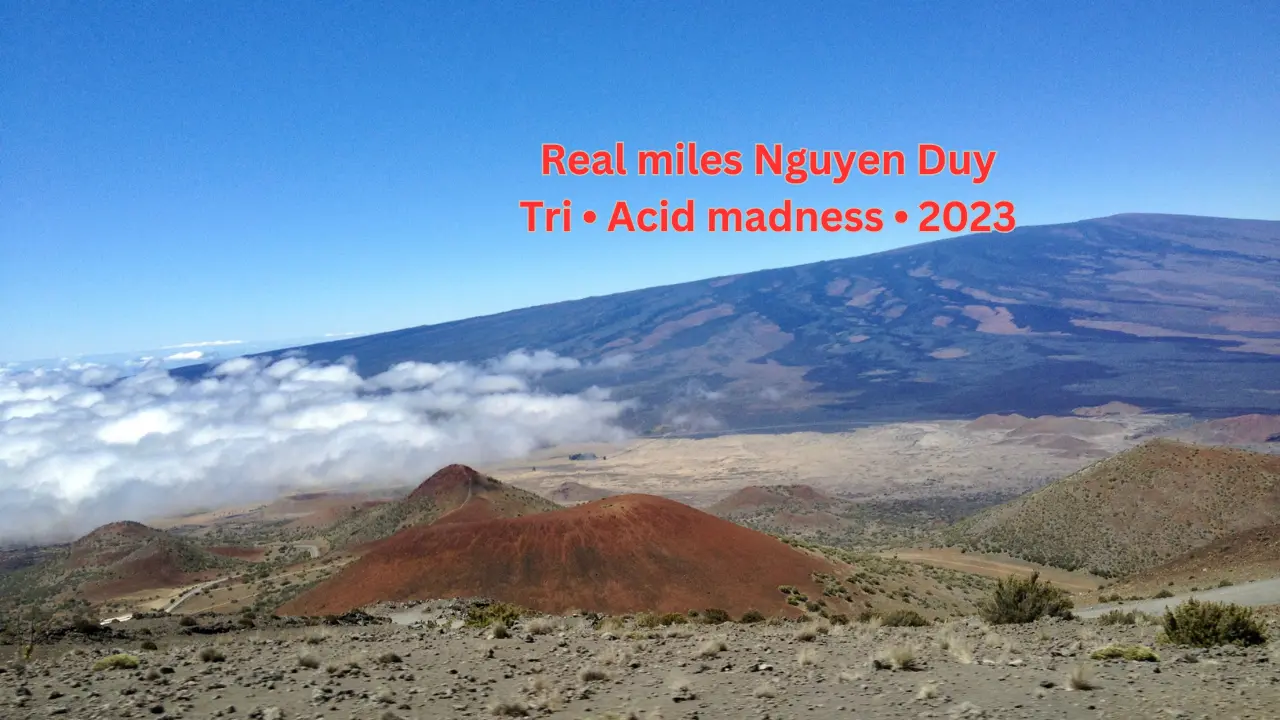 Real miles Nguyen Duy Tri • Acid madness • 2023