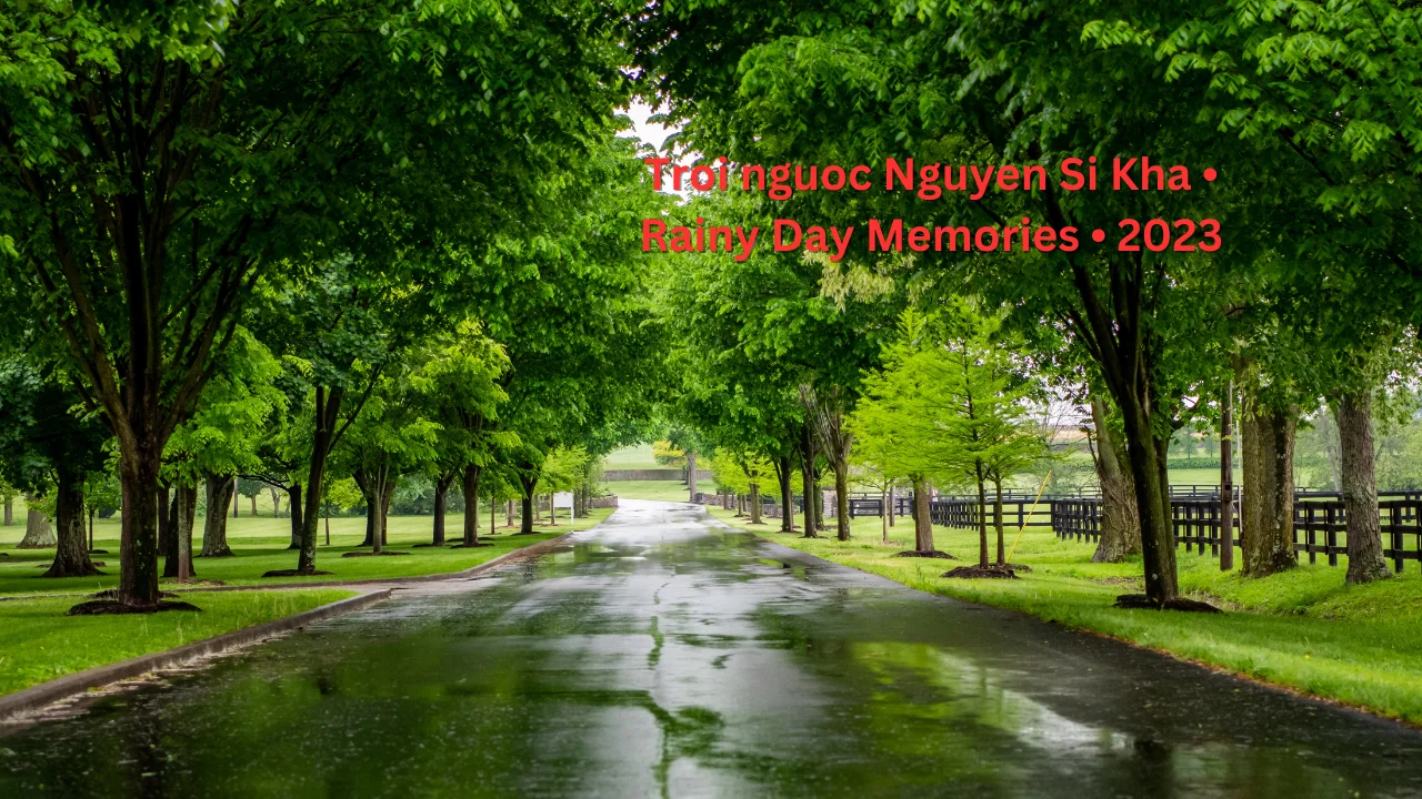 Troi nguoc Nguyen Si Kha • Rainy Day Memories • 2023